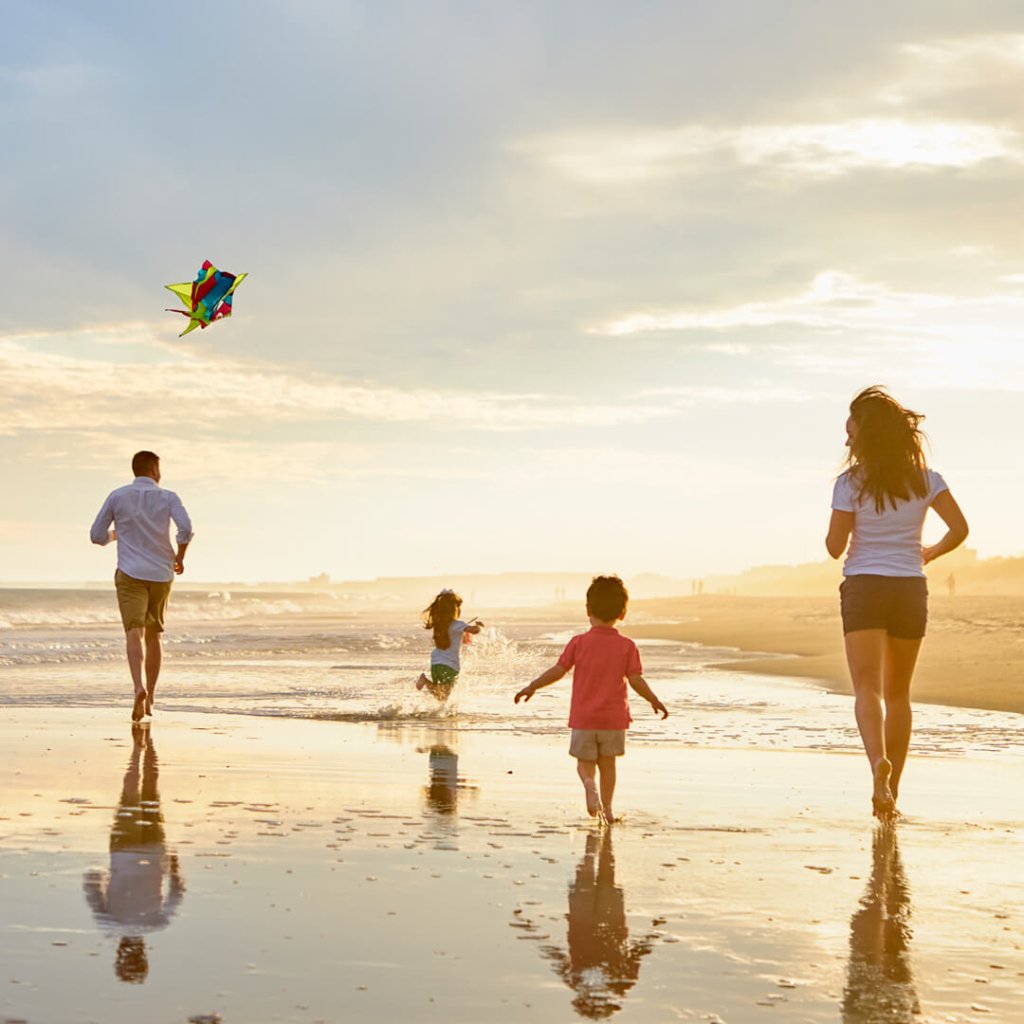huntington-Hammock-Coast-South-Carolina