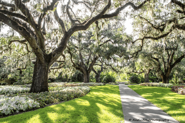 Family & Kid-Friendly Activities in Hammock Coast, SC