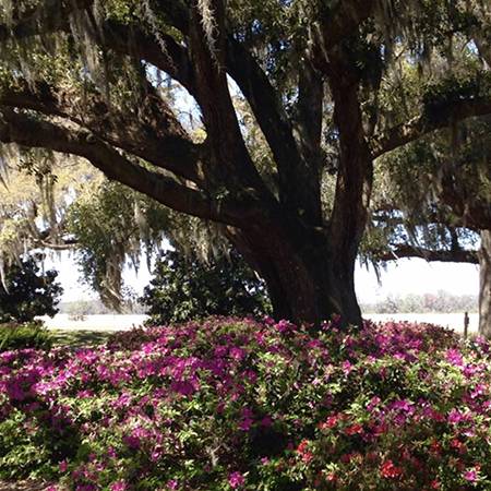 Top 100 Spring Break Golf Getaway