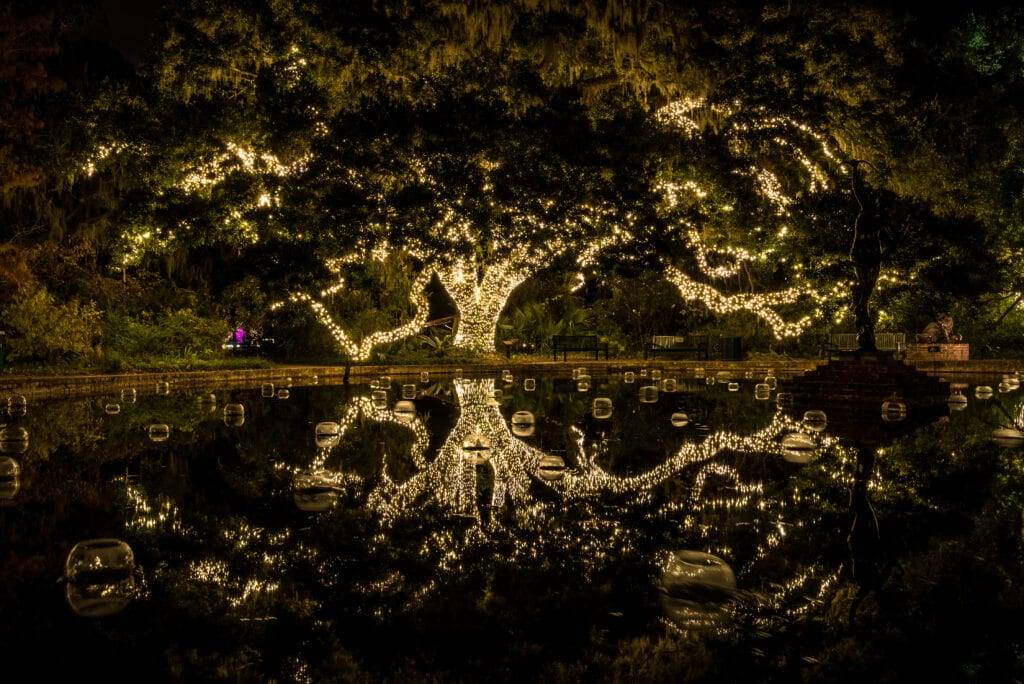 Brookgreen Gardens in Holiday Lights contest Hammock Coast