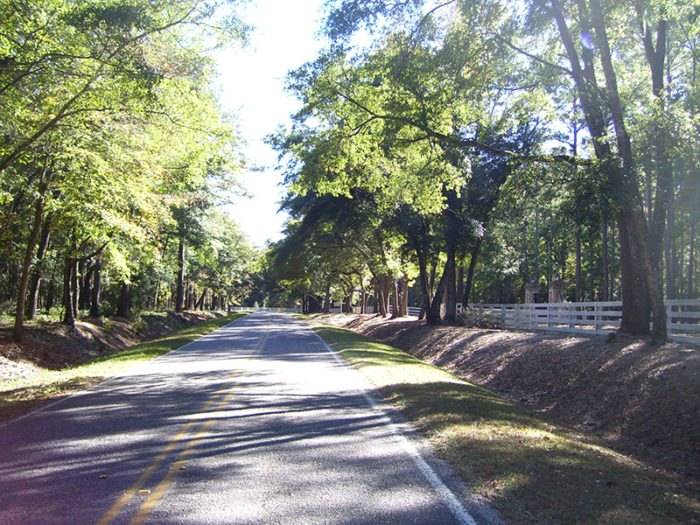 Explore History Along The 11mile Plantersville Scenic Byway