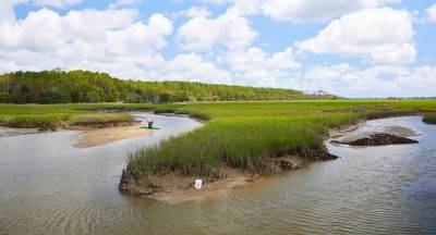 Hammock Coast Birding Festival: Events, Places to Stay