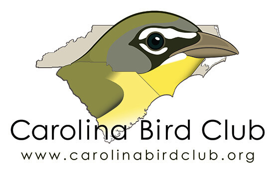 CBC LOGO 003-Hammock-Coast-South-Carolina