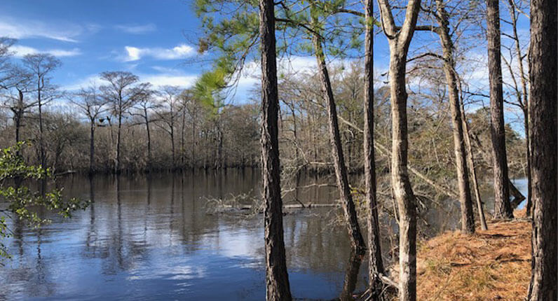 black river-Hammock-Coast-South-Carolina