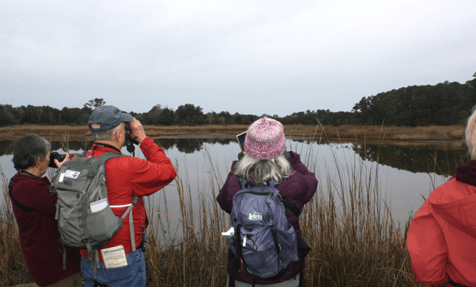 Birding reduced 2-Hammock-Coast-South-Carolina