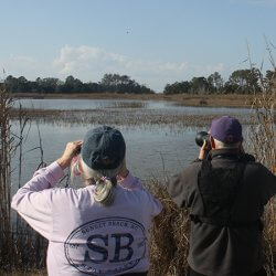 IMG 6344-Hammock-Coast-South-Carolina