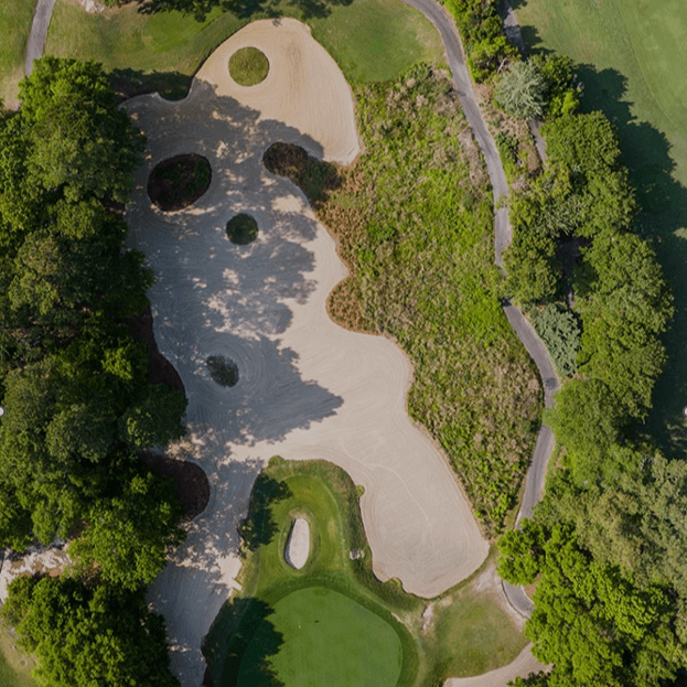 Caledonia aerial shot square-Hammock-Coast-South-Carolina