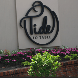 Tide to Table square-Hammock-Coast-South-Carolina