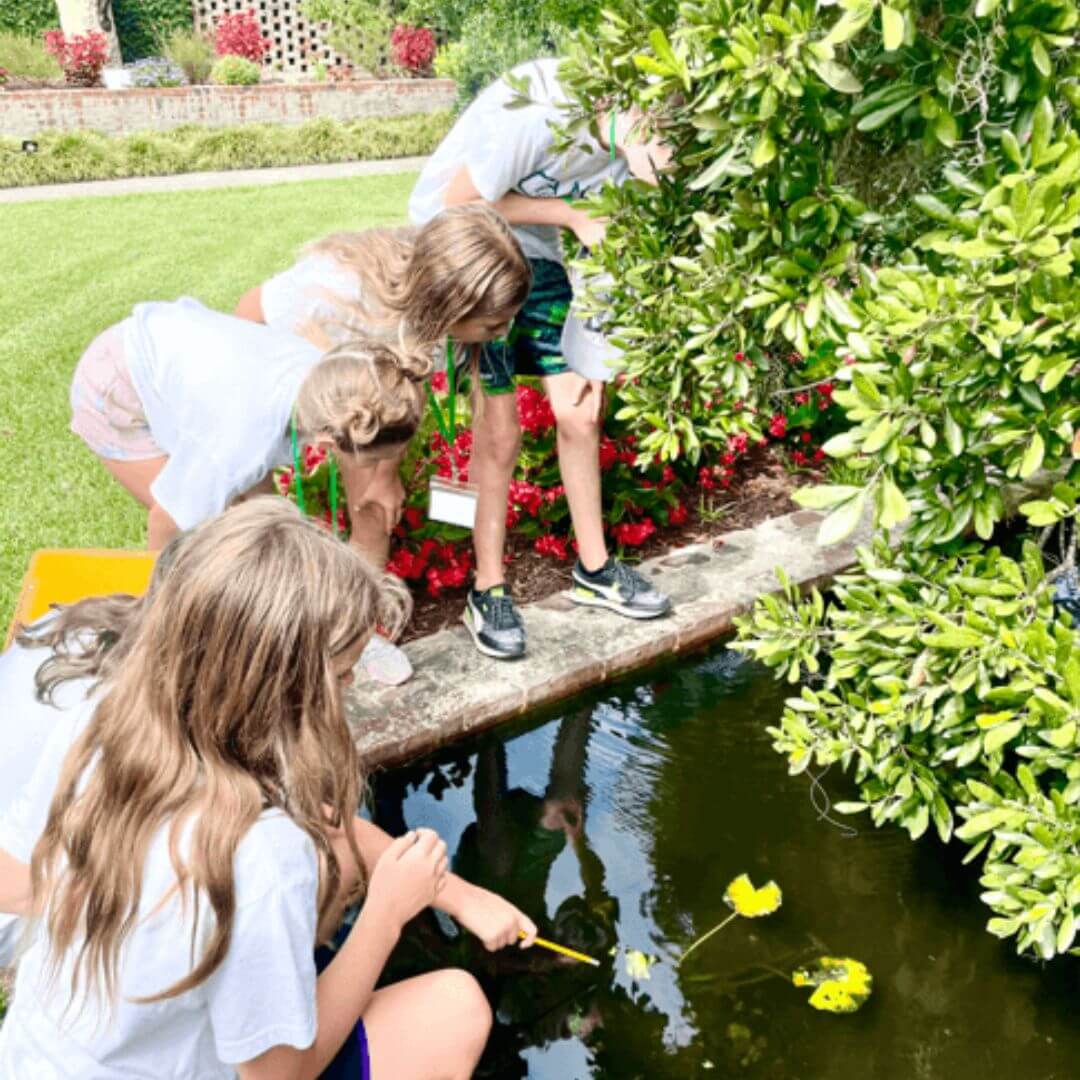 a group of kids looking at a pond