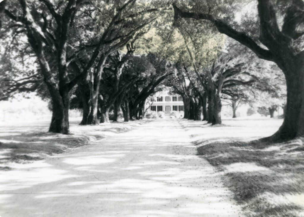 520WC Litchfield Plantation-Hammock-Coast-South-Carolina