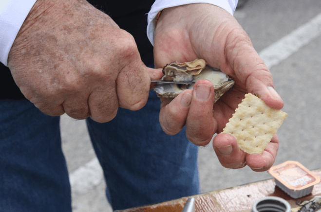 Closeup of oyster being shucked reduced-Hammock-Coast-South-Carolina