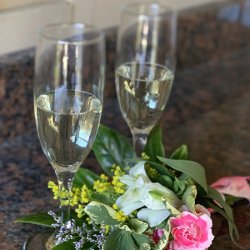 Champagne picfeature-Hammock-Coast-South-Carolina