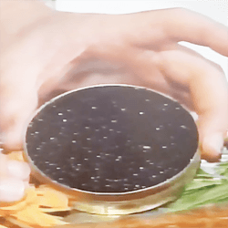 CAVIAR BOX-Hammock-Coast-South-Carolina