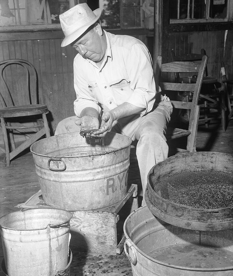 img008 2-Hammock-Coast-South-Carolina