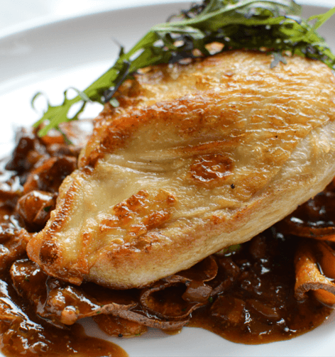 Independent Chicken reduced-Hammock-Coast-South-Carolina