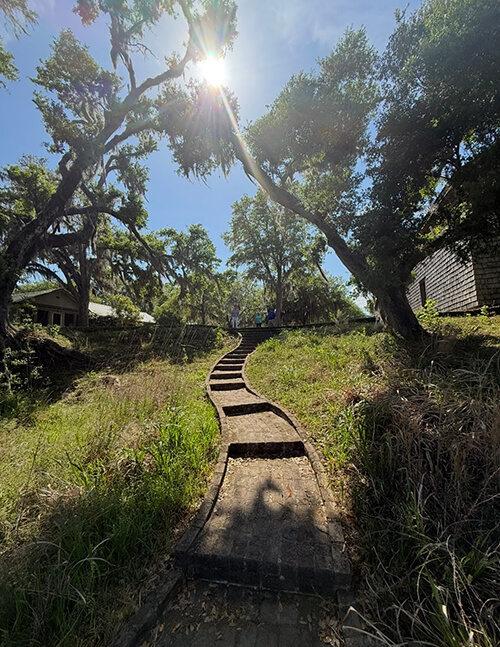 IMG 3537SUN-Hammock-Coast-South-Carolina
