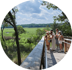 Nature & Outdoor Adventures