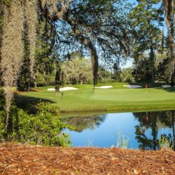 A golf green with a red flag reflects in a pond framed by Spanish moss