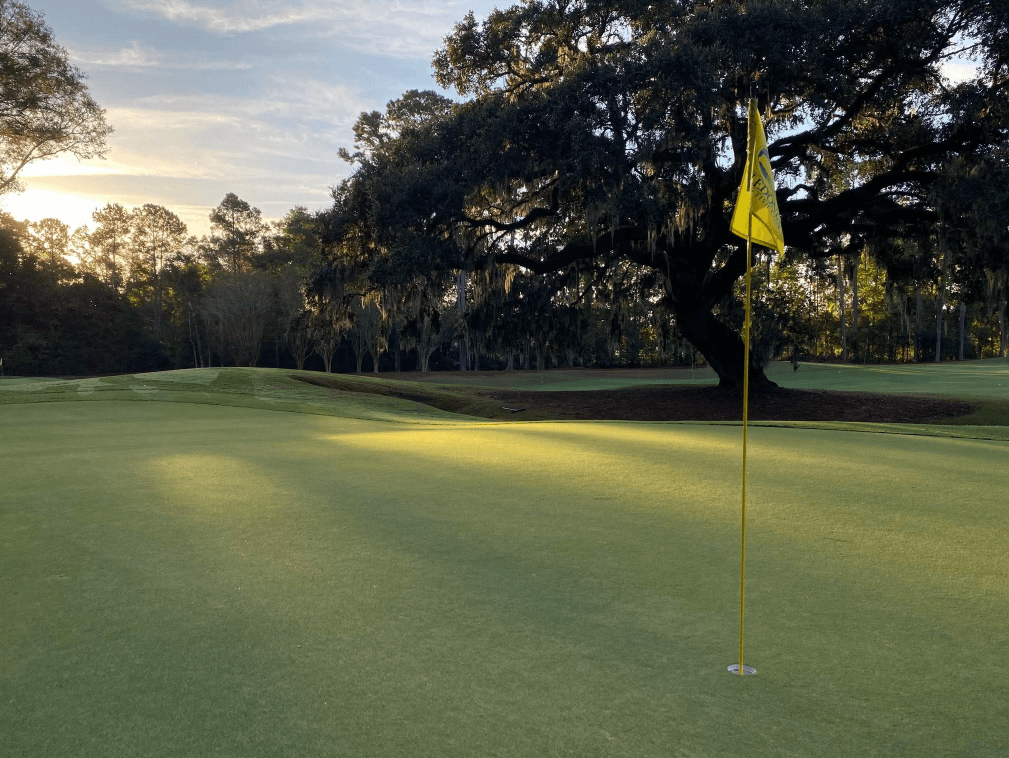 Caledonia course 2-onlypawleys