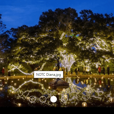Brookgreen Nights square 1-Hammock-Coast-South-Carolina