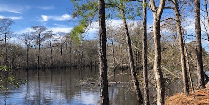 crop-Hammock-Coast-South-Carolina